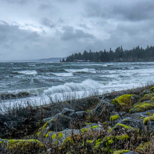 HONOUR AWARD Iris Schurz West Coast Stormy Day
