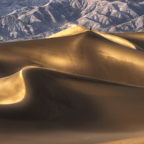 HONOUR AWARD James Xiang Golden Curves And Shadows