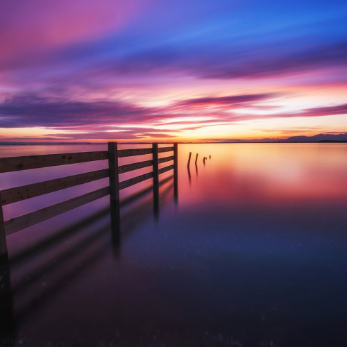 HONOUR AWARD James Xiang Tranquility By The Sea