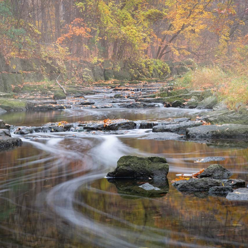 HONOUR AWARD Jean Wang Foggy Day In Autumn
