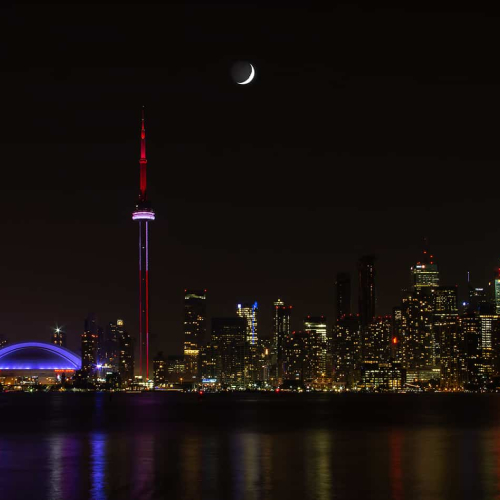 HONOUR AWARD Jean Wang Toronto   The City Never Sleep