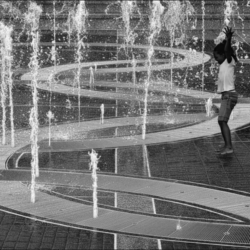 HONOUR AWARD Langley Camera Club Carolyn Angus Jump For Joy