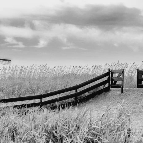 HONOUR AWARD Lions Gate Camera Club Tom Becker Traditional Dutch Landscape