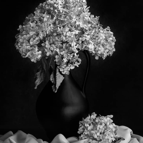 HONOUR AWARD London Camera Club Marion Buccella Elegance