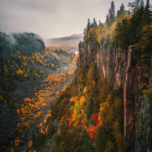HONOUR AWARD Louie Luo Autumn Canyon
