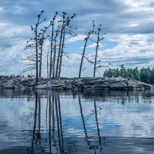 HONOUR AWARD Mary Chambers Cormorant Island On Opeongo Lake