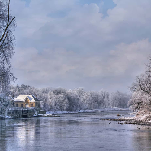 HONOUR AWARD Mary Chambers Frosty Early Morn