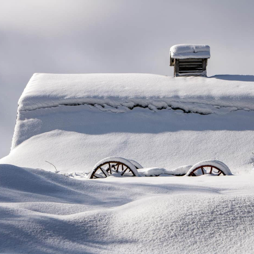 HONOUR AWARD Moncton Focus Camera Club Jo Ann Leblanc Snowed In