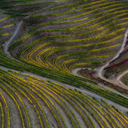 HONOUR AWARD Photographic Guild Of Nova Scotia Andrzej Kajetanowicz Douro Valley Portugal