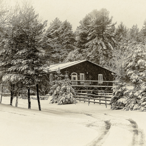 HONOUR AWARD Richmond Camera Club Jenny Allen Nestled Among Snow Covered Trees