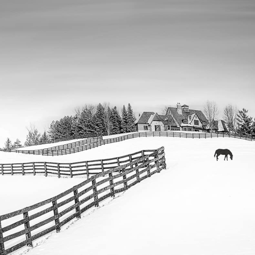 HONOUR AWARD Richmond Hill Camera Club Louie Luo Serenity