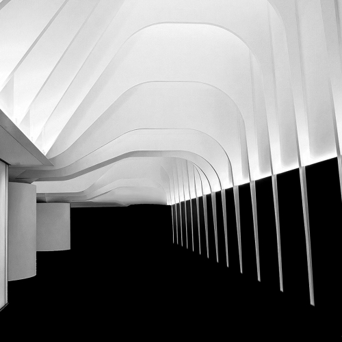 HONOUR AWARD Steve Donnelly An Amazing Design