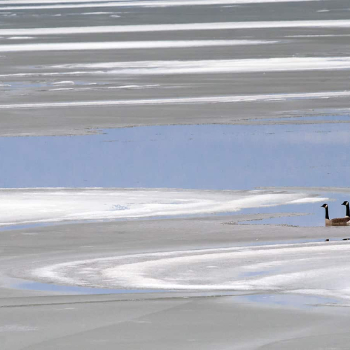 HONOUR AWARD Theresa Bryson Lake Erie   Late Winter