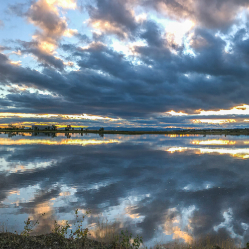 HONOUR AWARD Toronto Camera Club Catherine Auyeung Reflections On The Marsh