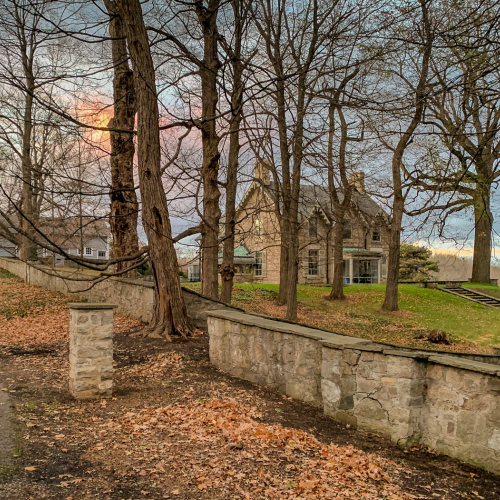 HONOUR AWARD Trillium Photographic Club David Evans Country In The City