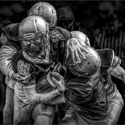 HONOUR AWARD Trillium Photographic Club Greg Alderson Determined 88