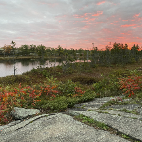 HONOUR AWARD Trillium Photographic Club Judy Boufford Dawn At Torrence Barrens