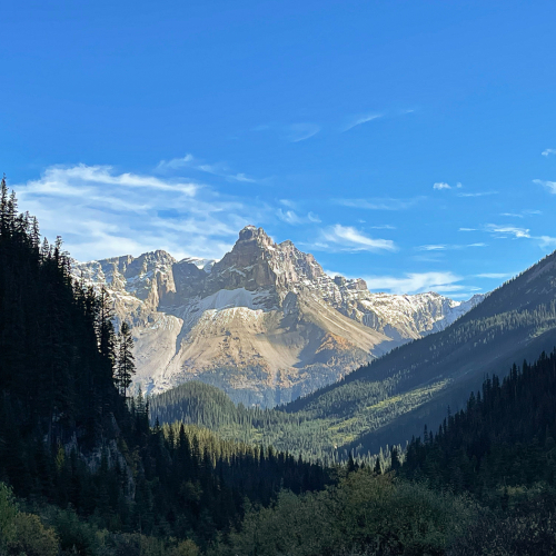 HONOUR AWARD Vinod Kothari Kothari Framed By A Valley