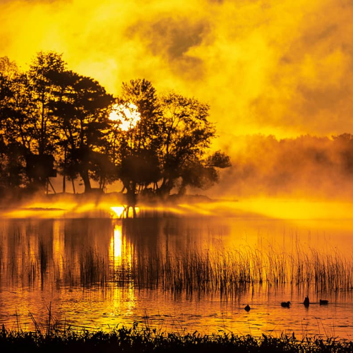 HONOUR AWARD Ying Shi Golden Hour