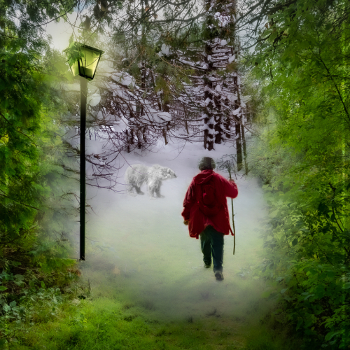 Honour Award - Aneta Zimnicki - Into Narnia