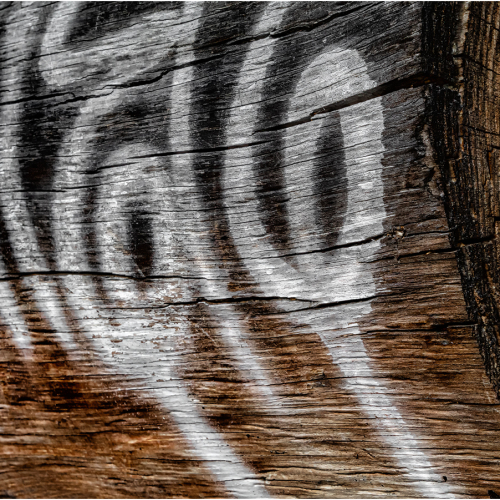 Honour Award Cheryl Bramble The Hand Of Man