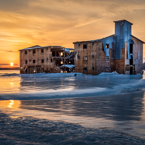 Honour Award Club Photo Impression Jocelyne Feizo Abandoned Henhouse