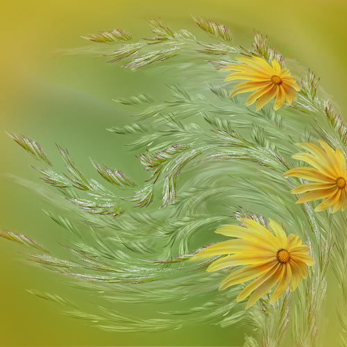 Honour Award Etobicoke Camera Club Christine Kobielski Wind Swept