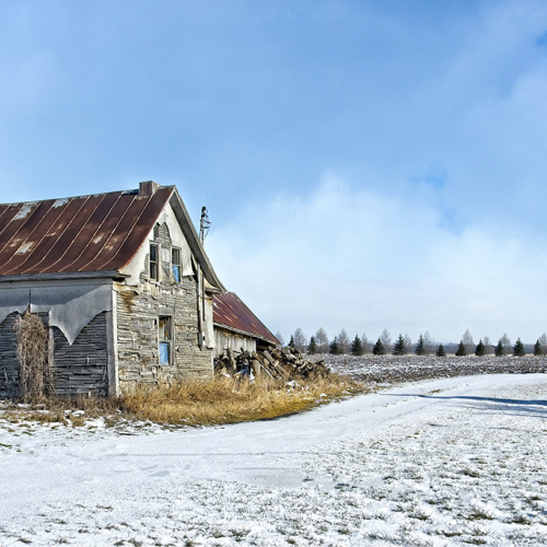 Honour Award Evelyn Young Abandoned House