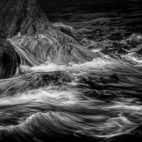 Honour Award Francine Raymond Morning Rush