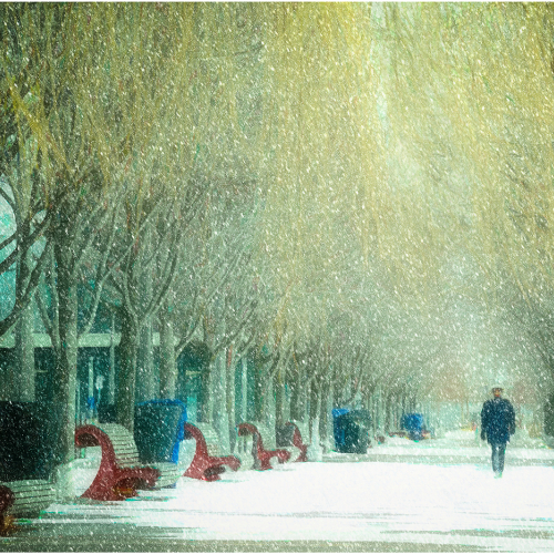 Honour Award Grand River Imaging & Photographic Society Julie Seiler Winter Stroll