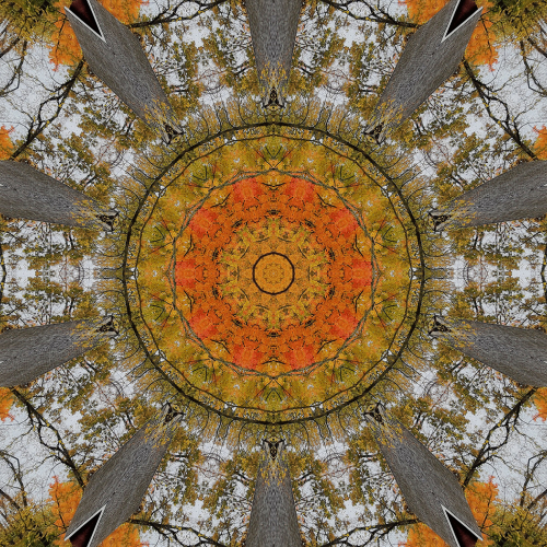 Honour Award - Heykoop Kathy - Morningstar Mill Abstract
