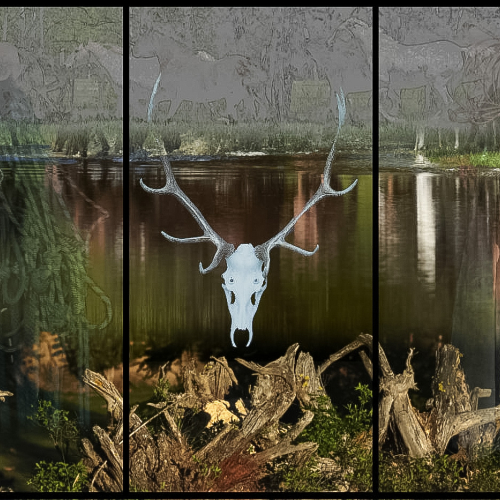 Honour Award - Images Alberta Camera Club - Colin Vince - 3 Bars
