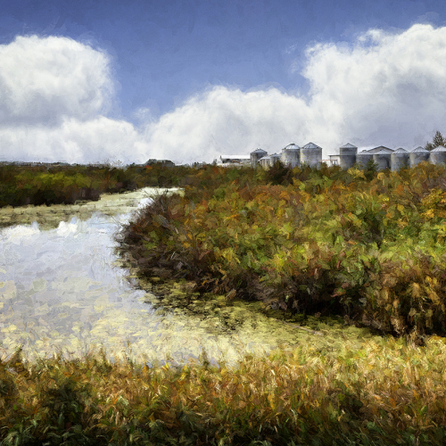Honour Award Images Alberta Camera Club Gary Ford Silos Amidst Fall Colours