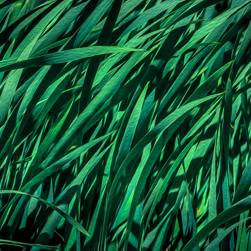 Honour Award Jacquie Matechuk Natures Canvas