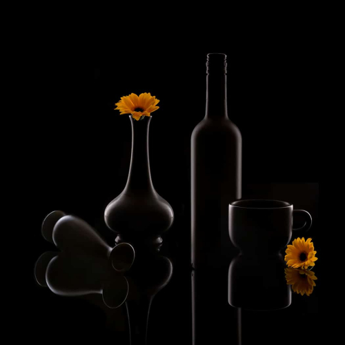 Honour Award Jean Wang Backlighting And Shadows