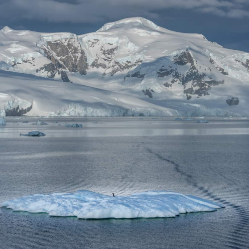 Honour Award Jiahua Elite Photography Association Richard Li Homes ENV That Are Being Lost