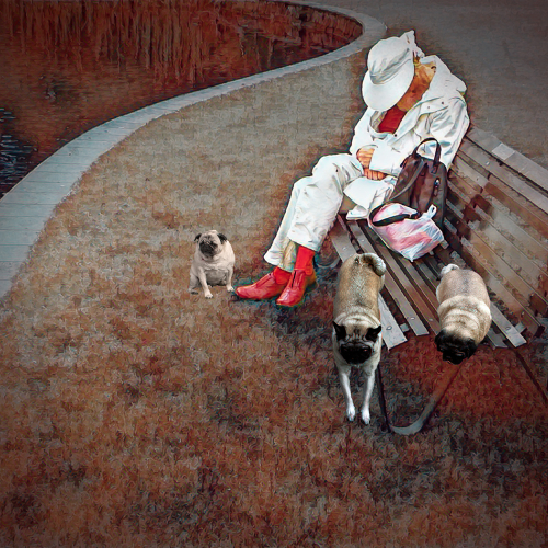 Honour Award Joe Pate Nap In The Park With Pugs