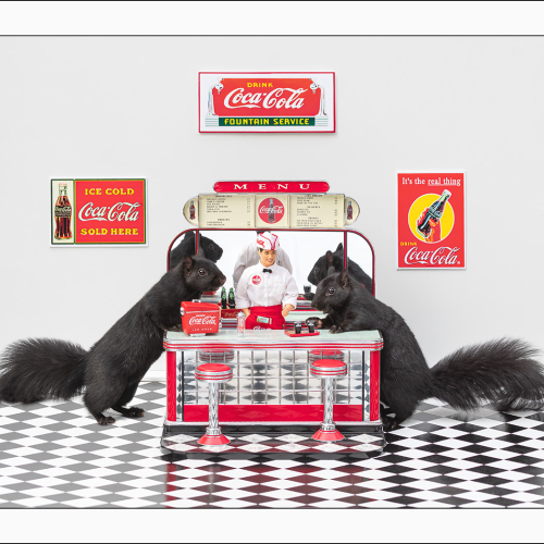 Honour Award - Karen Cunningham - Soda Fountain Squirrels
