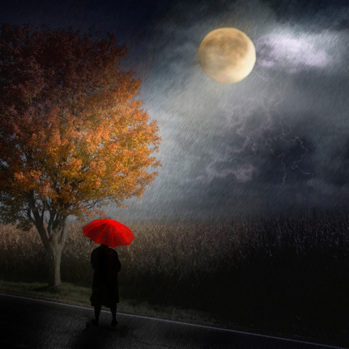 Honour Award - Kathy McDevitt - A Walk On A Mystical Stormy Night