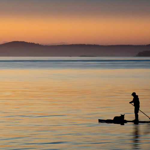 Honour Award Leah Gray Morning Paddle Together