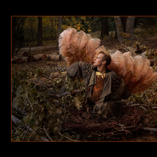 Honour Award - Len Grinke - Destroyed Habitat