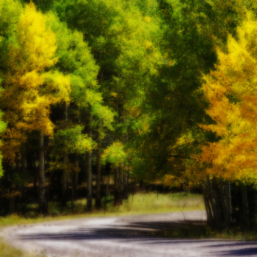 Honour Award - Linda Jones - The Lure Of The Winding Road