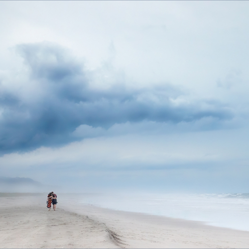 Honour Award Llaesa North Love In The Mist Copy