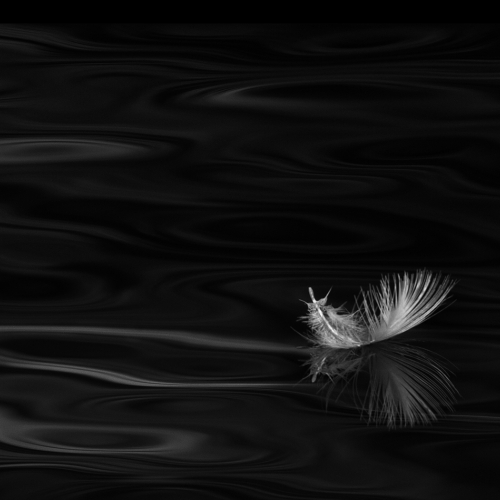 Honour Award Lois Burton Quietude