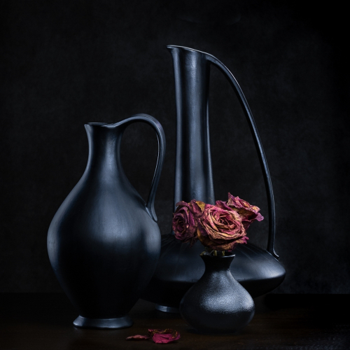 Honour Award London Camera Club Marion Buccella Hello Darkness