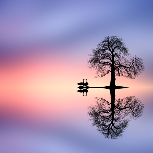 Honour Award - Louie Luo - Sunrise on the lake