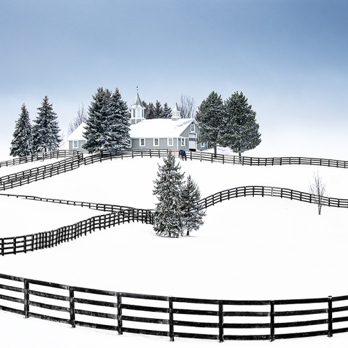 Honour Award Louie Luo Wavy Fences
