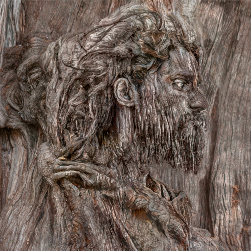Honour Award - Mary Chambers - Watcher In The Wood