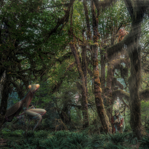 Honour Award - Mary Chambers - Woodland Creatures