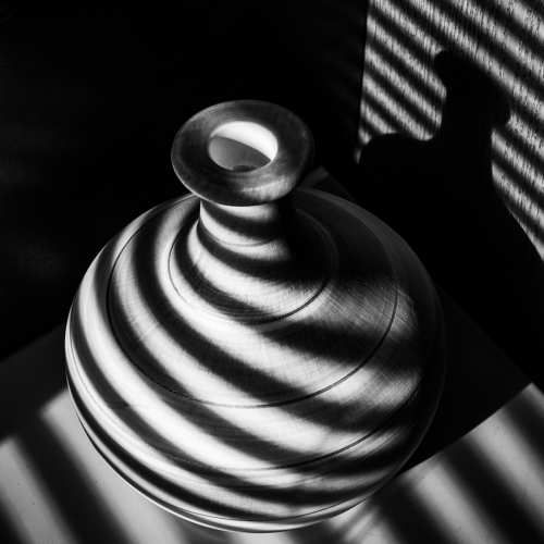 Honour Award Montreal Camera Club Danielle Charron Twirling Shadows